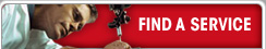 Find a Service