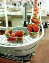 Curve wheels can reduce friction significantly in conveyors with 90&deg; curves. 