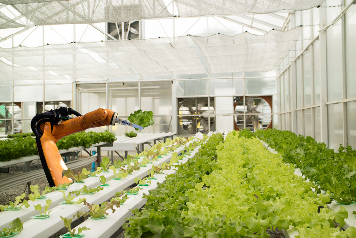 Different Types Of Agricultural Robots Ria Robotics Blog Different Types Of Agricultural Robots Ria Robotics Blog